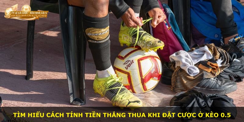 Tìm hiểu cách tính tiền thắng thua khi đặt cược ở kèo 0.5