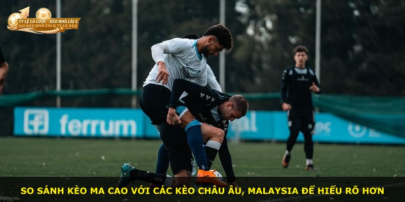 So sánh Kèo Ma Cao với các kèo châu Âu, Malaysia để hiểu rõ hơn