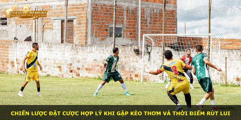 Chiến lược đặt cược hợp lý khi gặp kèo thơm và thời điểm rút lui