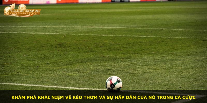 Khám phá khái niệm về kèo thơm và sự hấp dẫn của nó trong cá cược