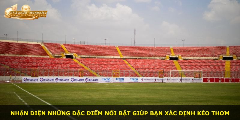 Nhận diện những đặc điểm nổi bật giúp bạn xác định kèo thơm